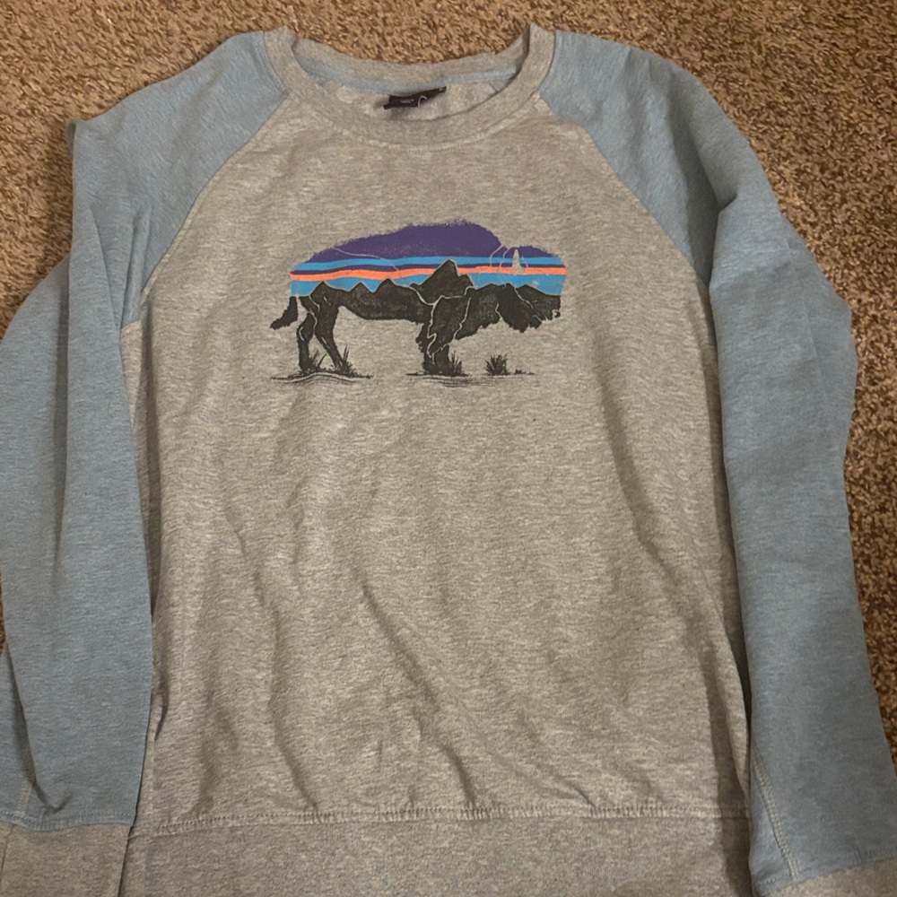 Women’s Gray and Blue Patagonia sweater